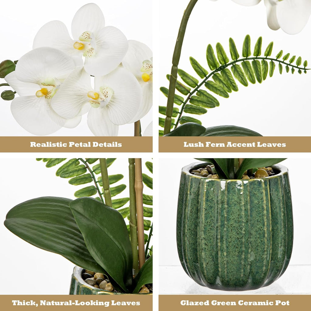 White Orchid Artificial Flowers in Ribbed Green Ceramic Pot, 18.9in Silk Orchid Fake Flower Real Touch Phalaenopsis