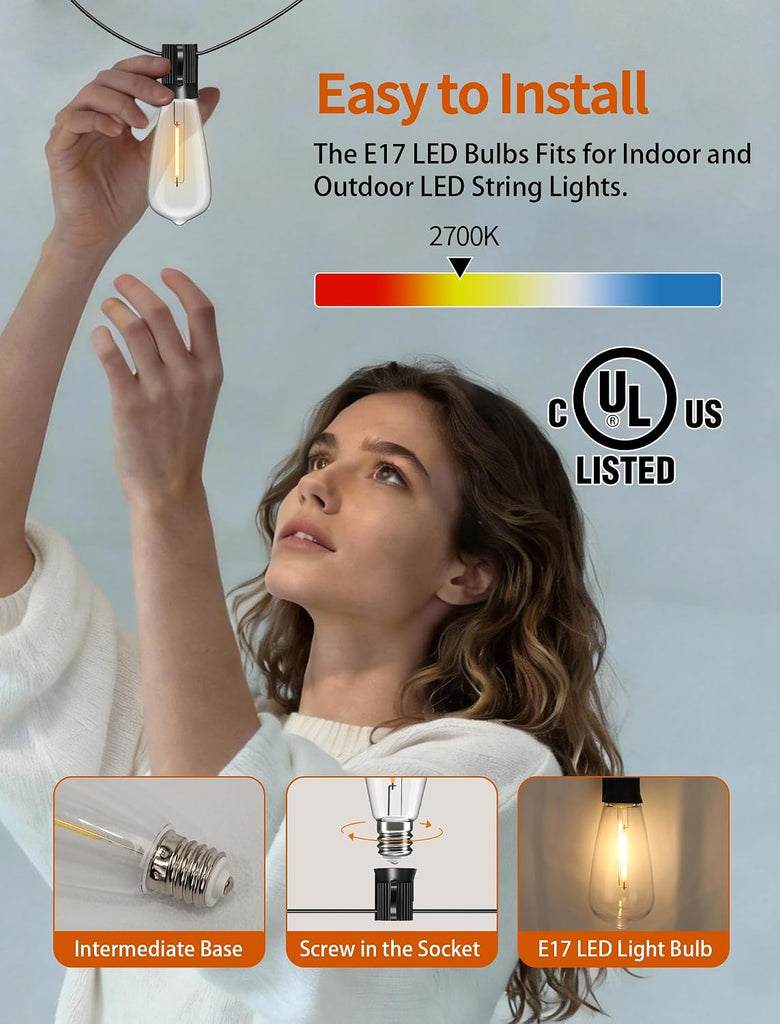 Edison E17 LED Bulbs, ST40 0.6W Shatterproof Replacement Bulbs