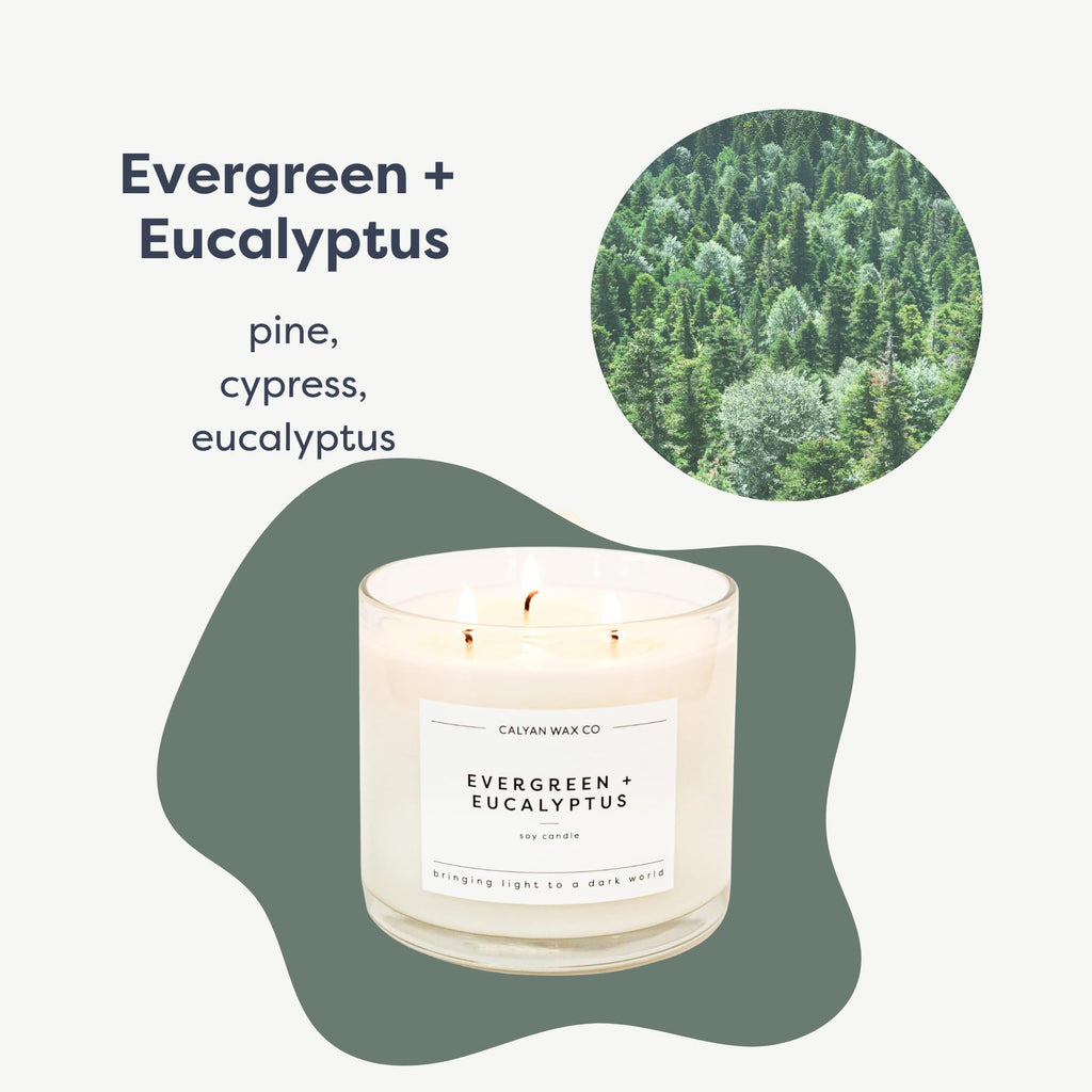 Evergreen & Eucalyptus 3 Wick Scented Candle - 43 Hour Burn