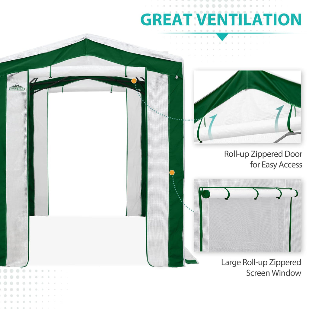 8x6 Walk in Pop Up Greenhouse, Green/White