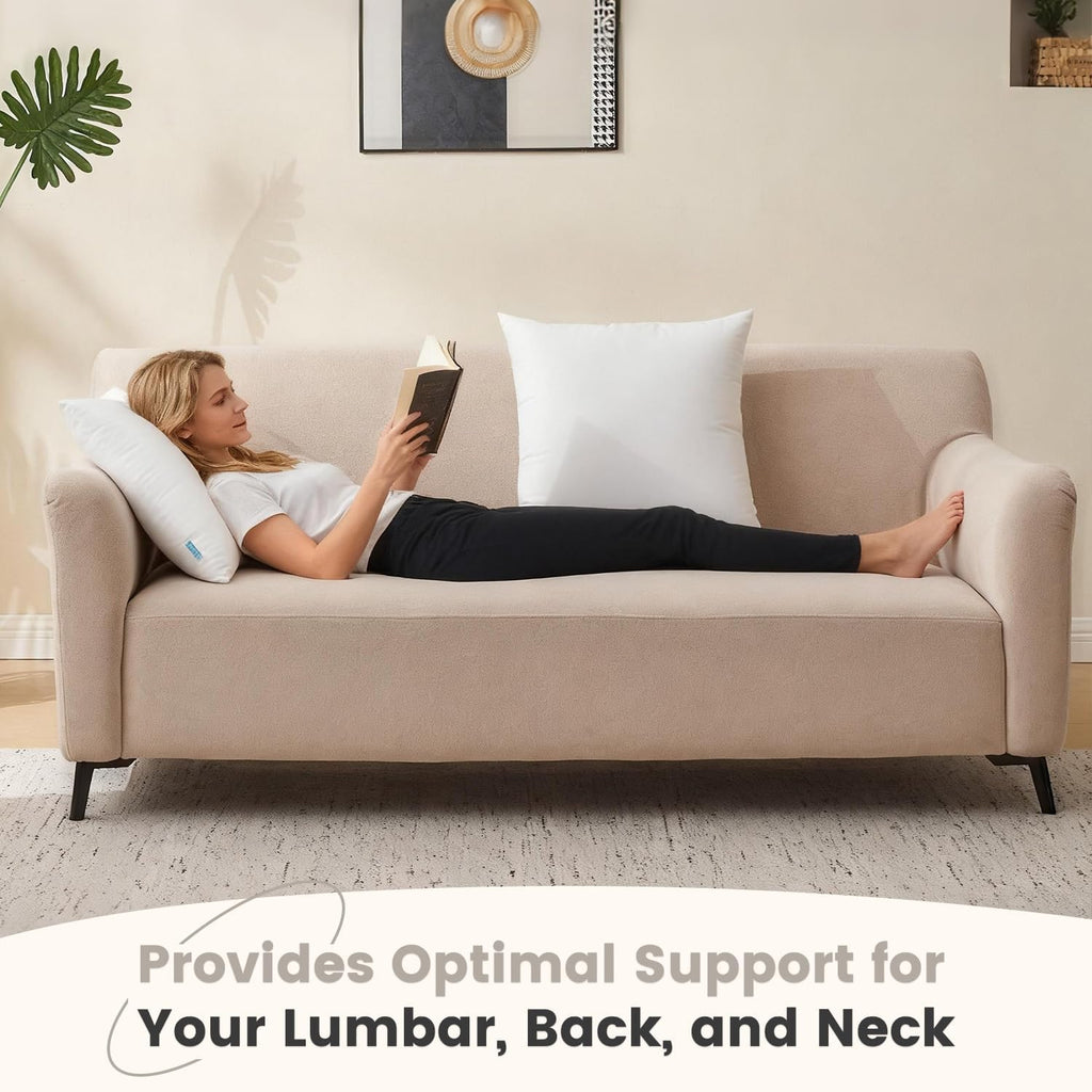 20x20 Pillow Inserts, 2 Pack Down Alternative Throw Pillow Inserts - Set of 2