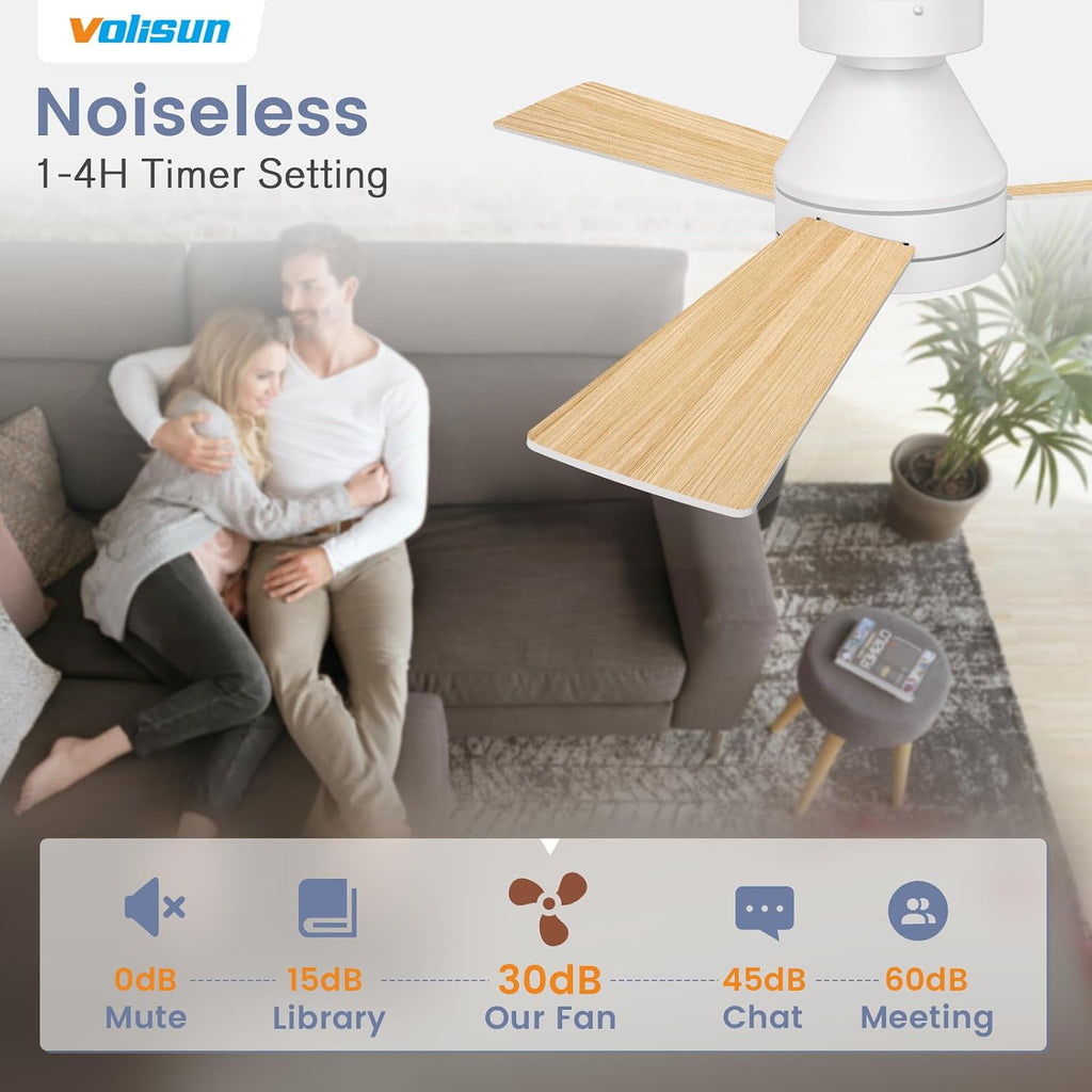 Ceiling Fan with Lights, 42 inch Low Profile Ceiling Fan with Light and Remote, Reversible, 3CCT, Dimmable