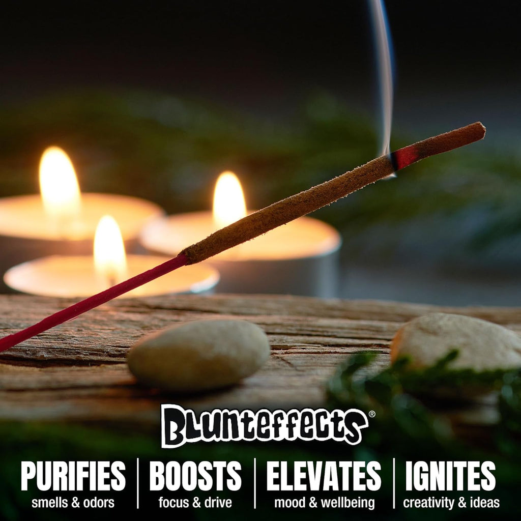 Hand-Dipped Incense Sticks 144-Pack, 12 Scents - Set of 144
