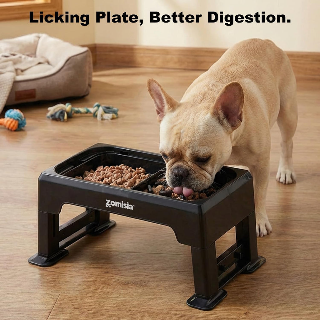 Elevated Dog Bowls, 6 Height Adjustable Raised Dog Bowl Mess Proof
