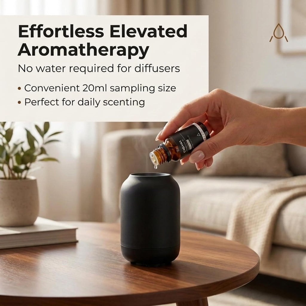 Diffuser Oil Gift Set, 5 Pack of 20ML (0.67 FL OZ) | Hotel Scent Diffuser Oils, Dream On, My Way, Baccarat Rouge