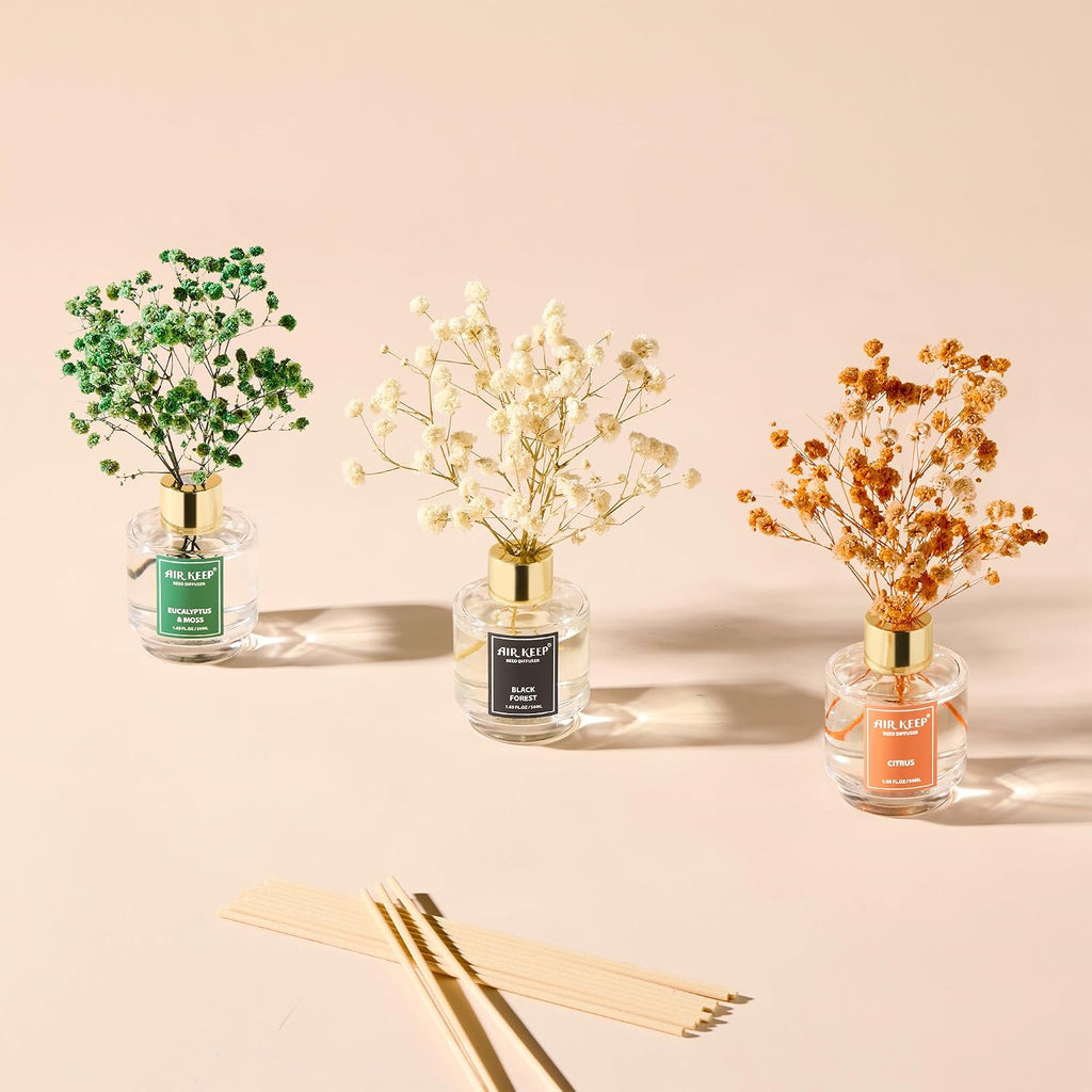 Reed Diffuser, Black Forest Eucalyptus Moss Citrus Oil Reed Diffusers Living Room Office Aromatherapy Oil - Set of 3