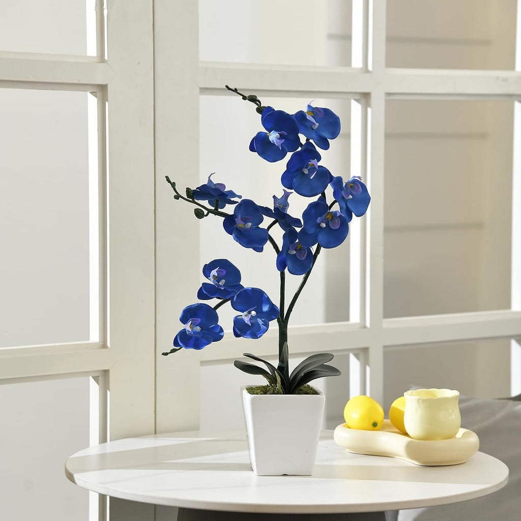 15" Silk Phalaenopsis Orchid in Square Pot, Navy Blue Flower Arrangements