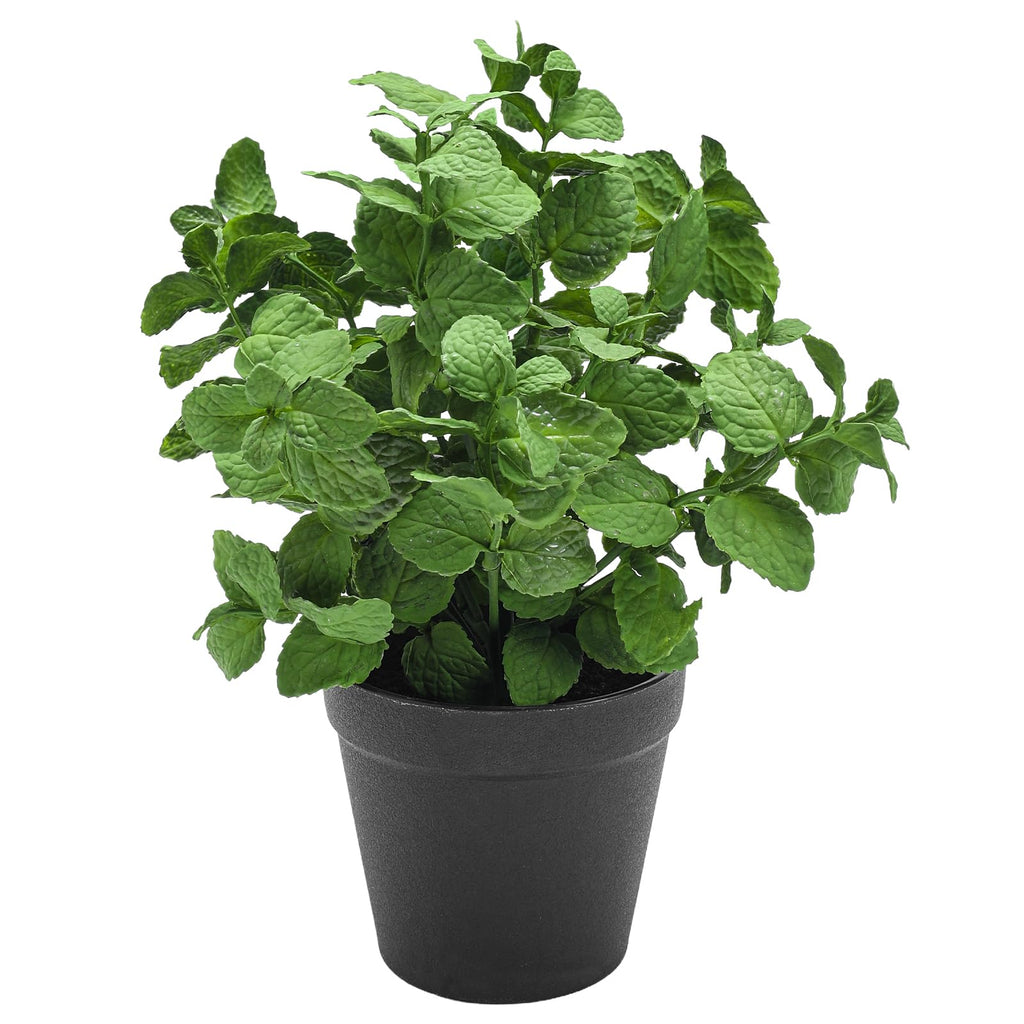 Small Fake Plants Mint Artificial Potted | Casa Home Living