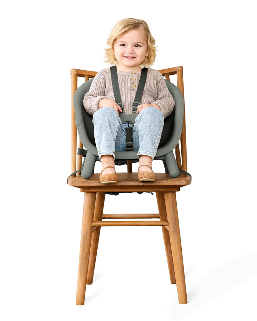 Baby High Chair 4-in-1 Convertible High Chair, EON, Thyme