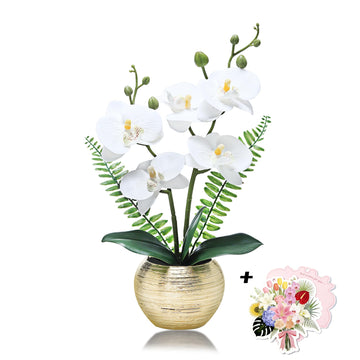 14in Artificial White Orchid in Golden Vase & Greeting Card Decor