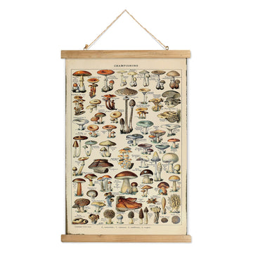 Vintage Mushroom Poster with Wooden Frame - Classic Botanical Print with Variety of Fungi Species - Retro Style Wall