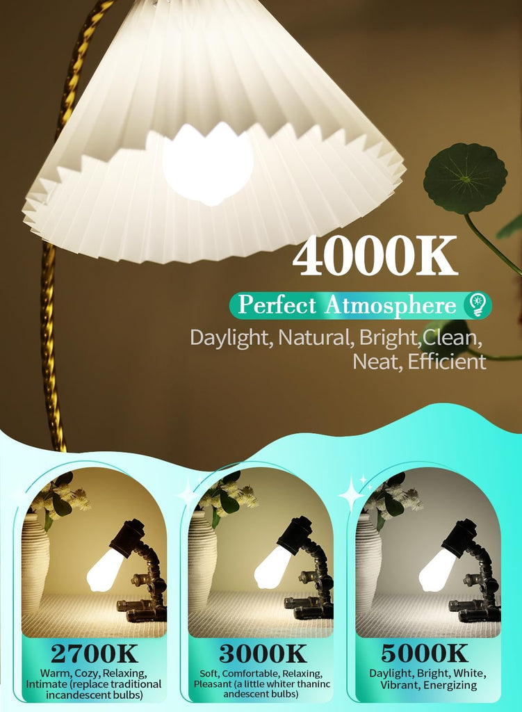 8W Dimmable ST58 Opal LED Bulbs, 4000K, 800 Lumens, 8 Packs