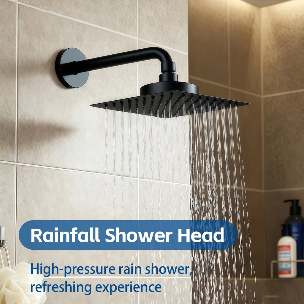 Rain Shower Head with Filter for Hard Water Square 10 Inch Matte Black