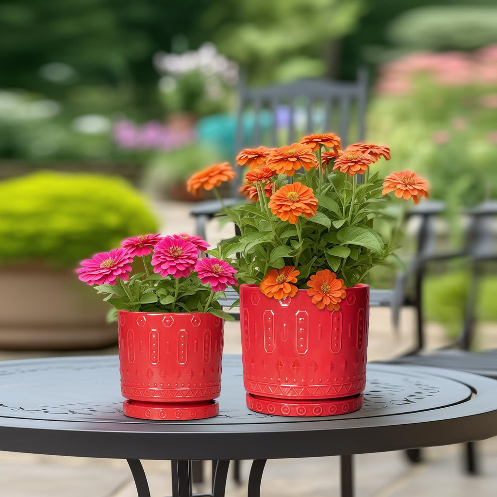 6 Inch Plant Pot, Ceramic Flower Pots for Indoor Outdoor Plants, Round Pots for Plants with Drainage Hole and Tray