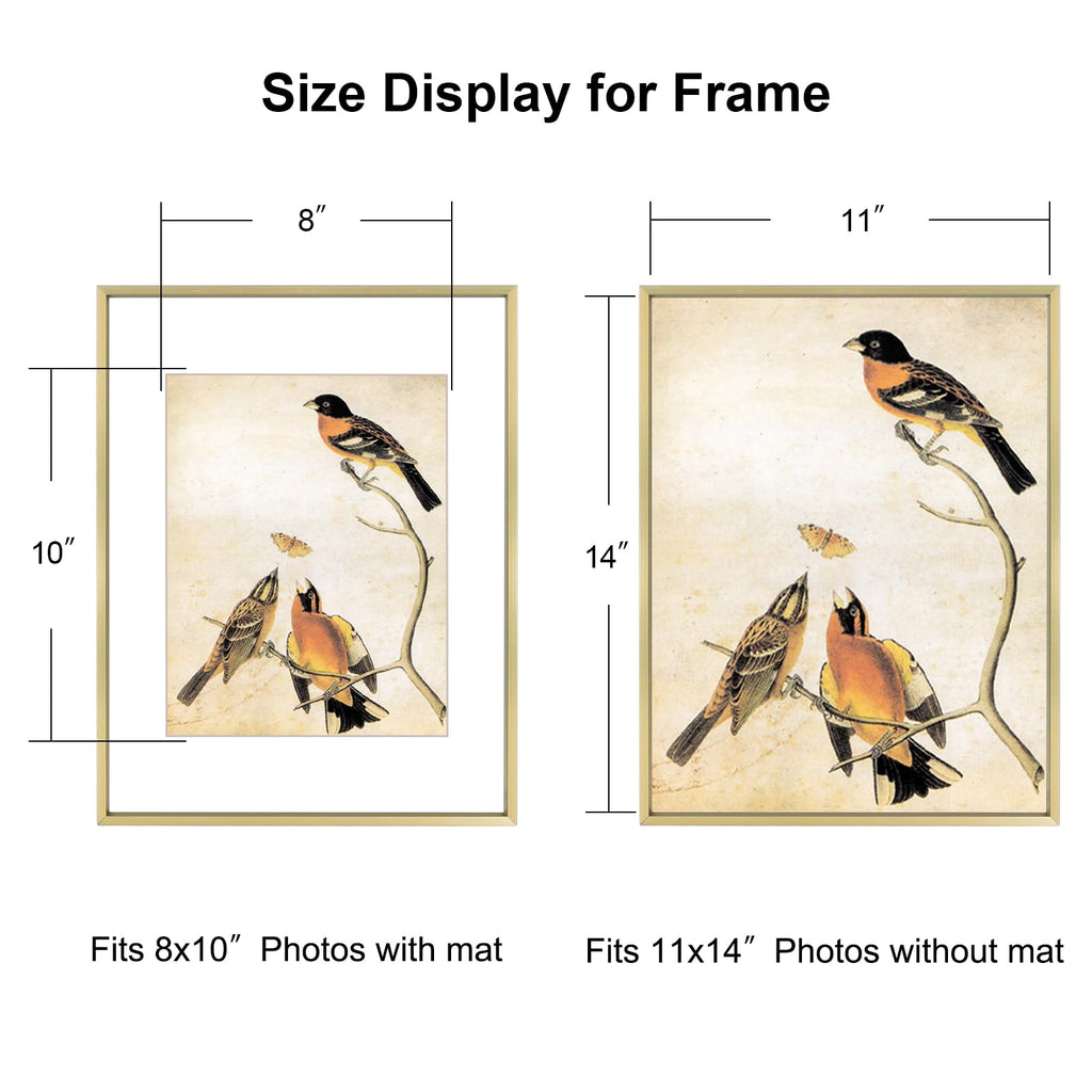 11x14 Brass Photo frames 3 Pack HD Glass Mat For 8x10 Wall Mount