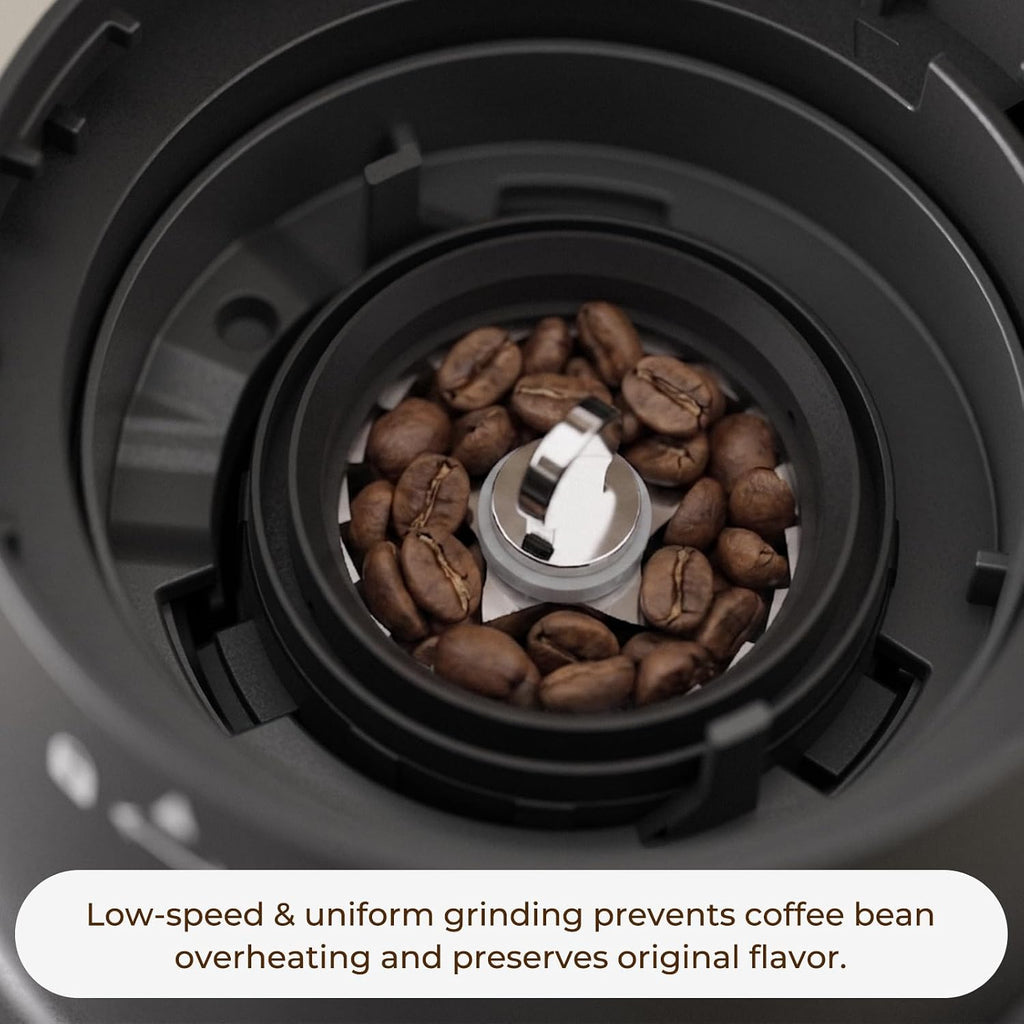 Conical Burr Coffee Grinder with 60 Settings and Touch Screen | 1-60s Timer & 1-8 Cup Dosing, Anti-Static, Removable