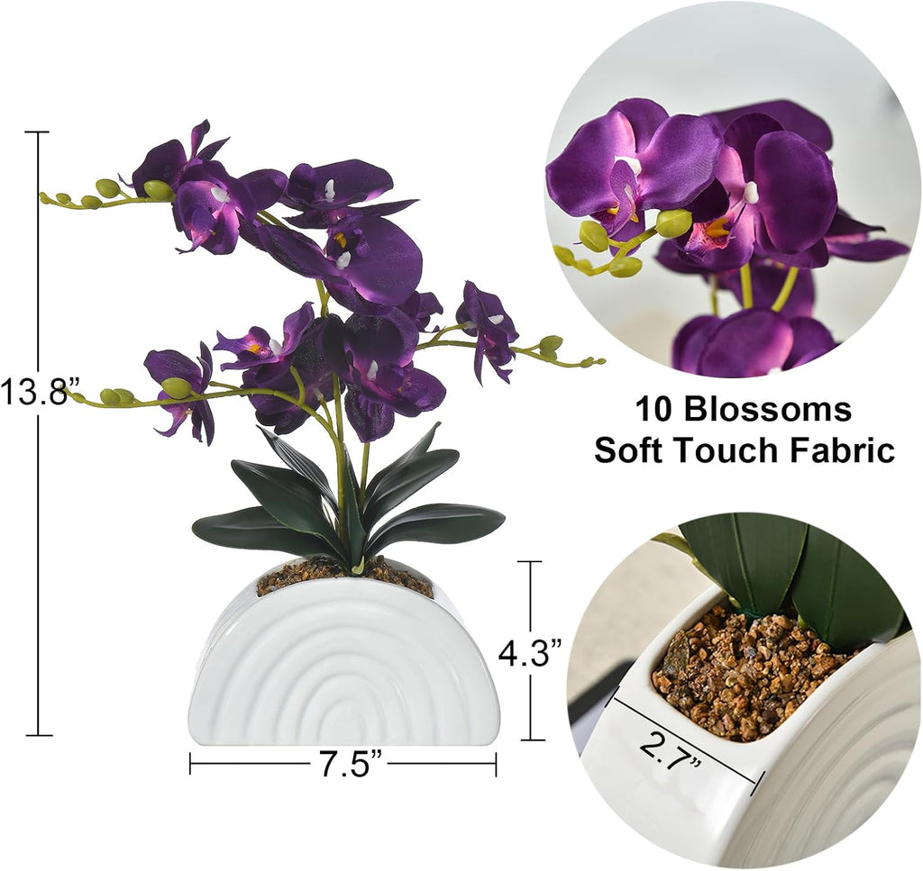 Dark Purple Silk Orchid Plant in White Rainbow Pot for Table Décor