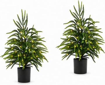 Nioclub 2FT Pre-Lit Artificial Norfolk Christmas Tree Realistic Potted Tree