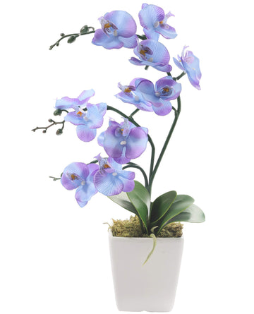 15" Silk Phalaenopsis Orchid in Square Pot, Purple Blue Flower Arrangements