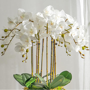 Artificial Orchid Plant, 35 Inch Phalaenopsis Flowers with Leaves, Real Touch Orchid Stems Decoration - Set of 4