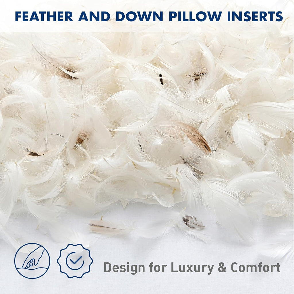 Feather and Down 22x22 Inch Throw Pillow Insert for Sofa Bed Couch