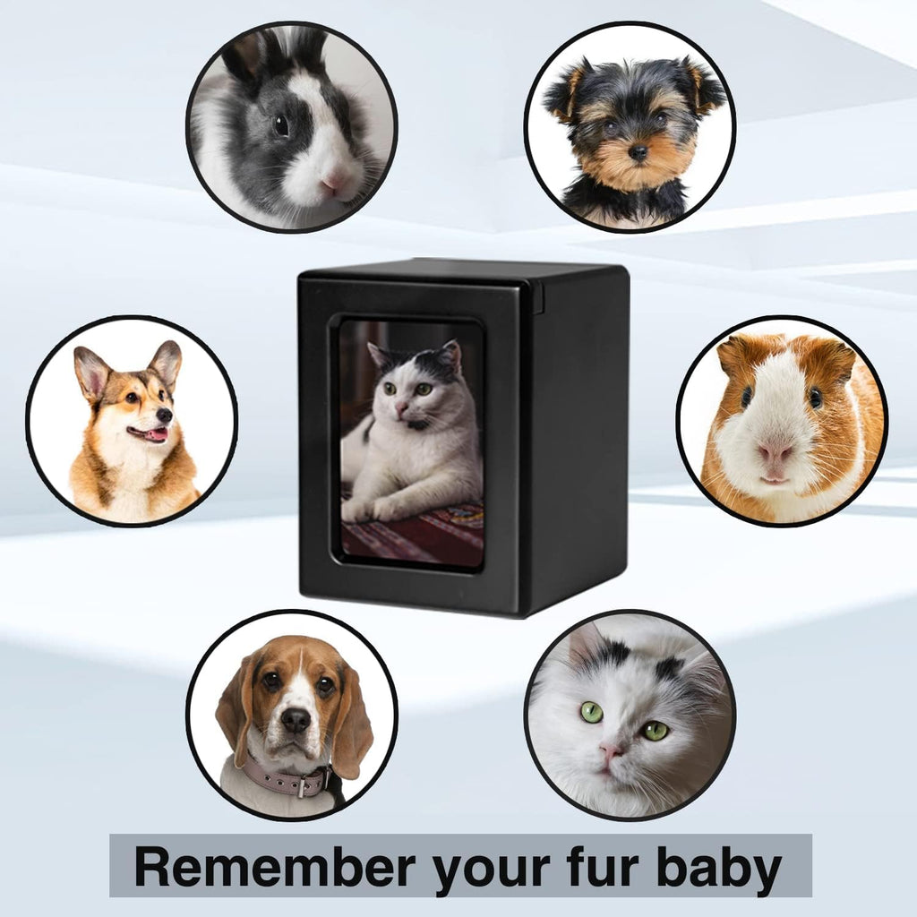PCS Cat Urn for Ashes - Photo Urn, Black Small Pet Cremation Box