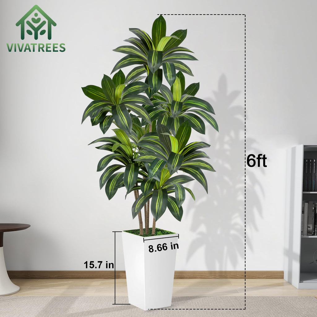 Dracaena Tree 6FT Artificial, 72in Tall Faux Dracaena Tree with 15.7 White Planter, Fake Potted Tree for Indoor &