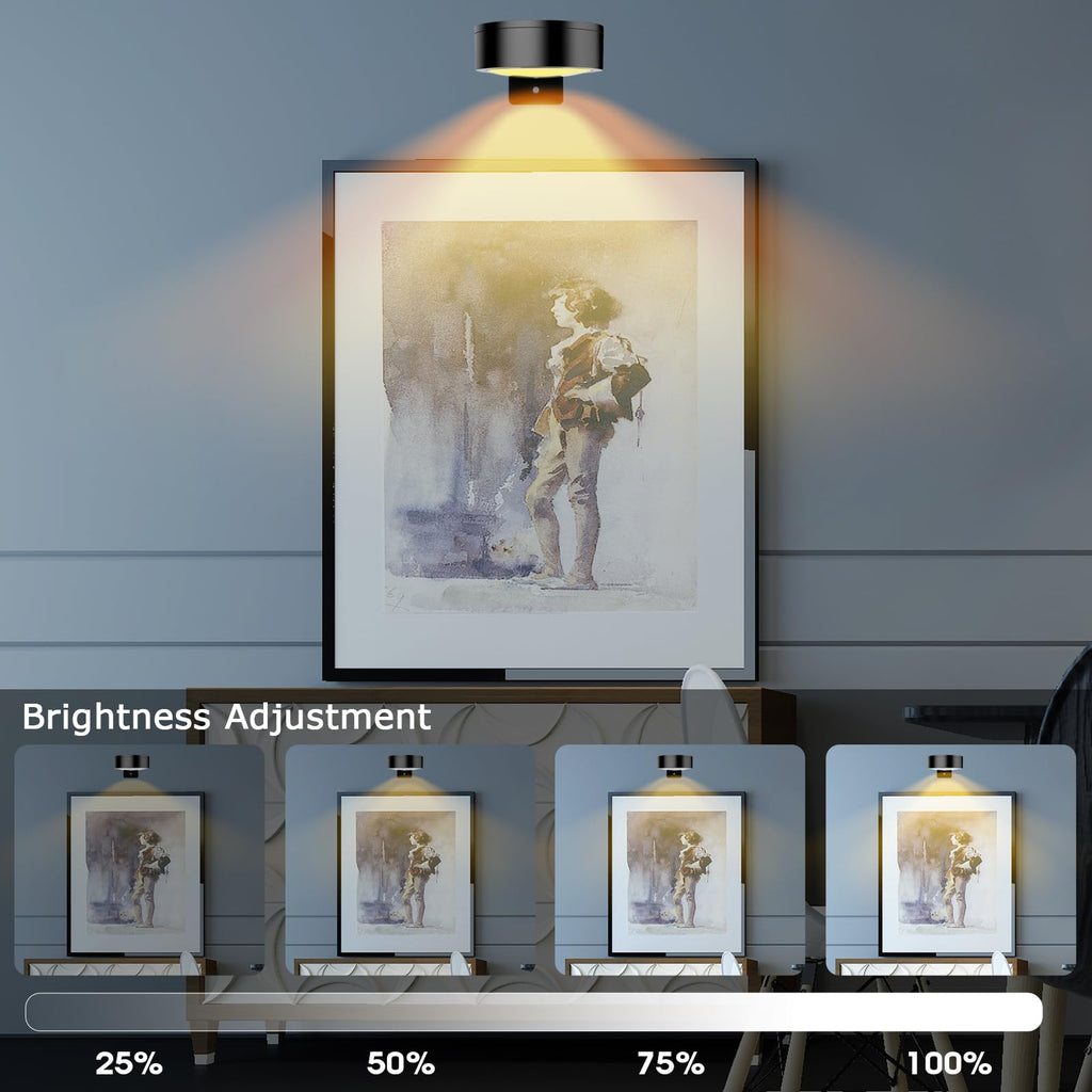Battery-Powered Picture Lights with Remote Control, Magnetic LED Art Lights for Framing, Dimmable and Timer-Equipped