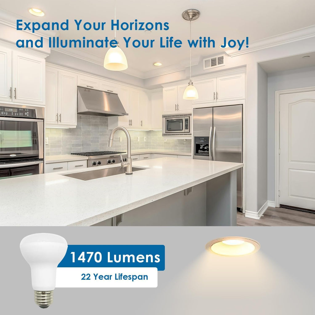 10 Pack BR20 LED Bulb, 2700K Dimmable,1470 Lumens, 13.5W=100W