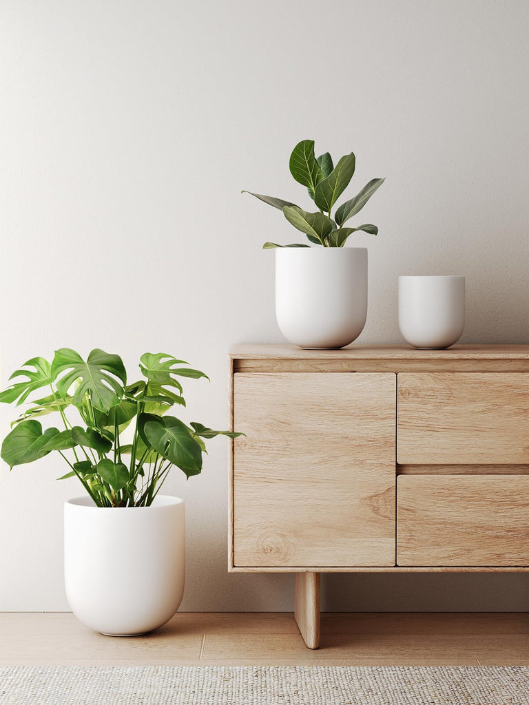 6, 8 & 10 Inch Ceramic Planter Set for Indoor Plants, White