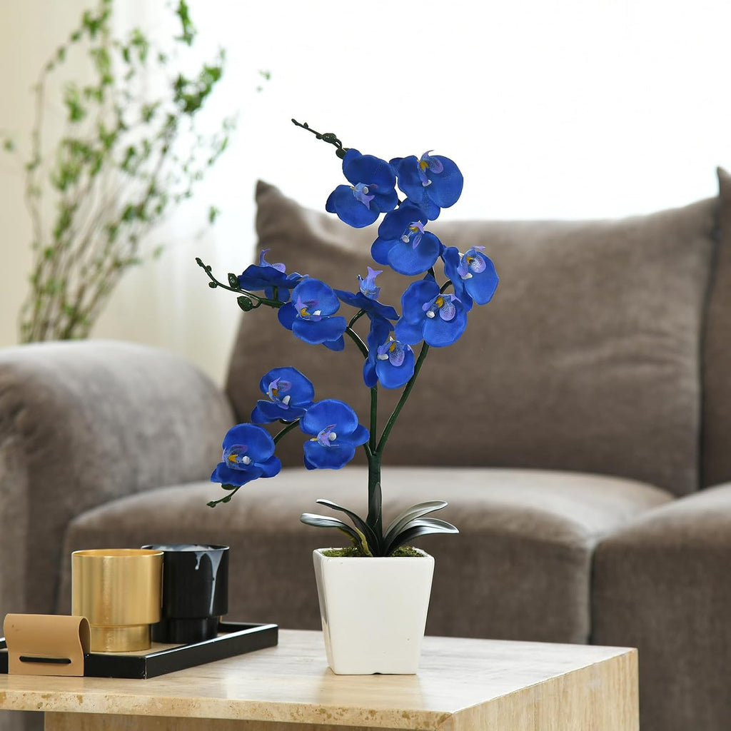 15" Silk Phalaenopsis Orchid in Square Pot, Navy Blue Flower Arrangements