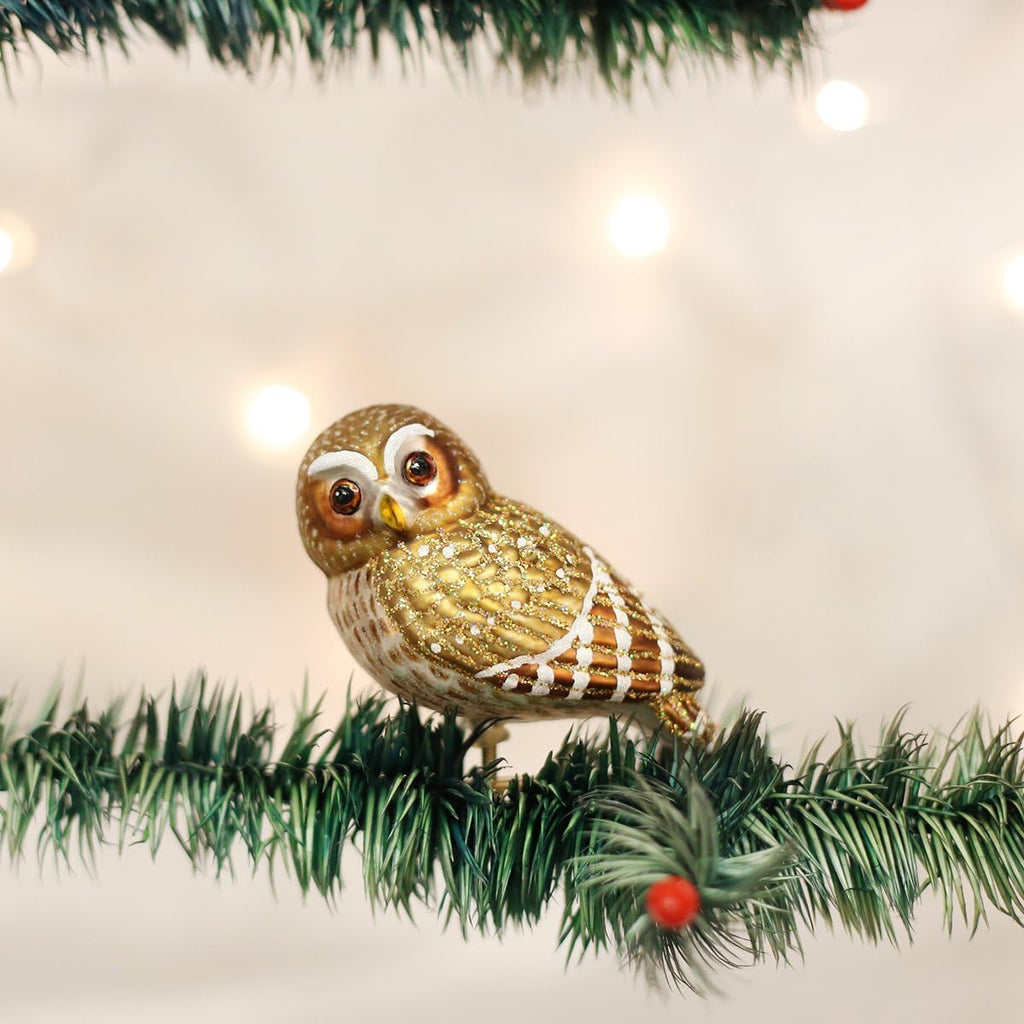 Pygmy Owl Glass Blown Ornament, Handcrafted Holiday Decoration, Owl Collection