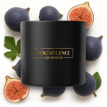 Premium Fig Tree Large 3-Wick Scented Candle - 45-Hour Burn - Luxury Natural Soy Candle - Aromatherapy & Room Decor