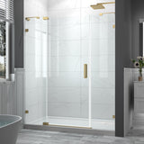 56-60" W x 70" H Frameless Pivot Shower Door, 5/16"(8mm) Clear SGCC Tempered Glass Shower Doors