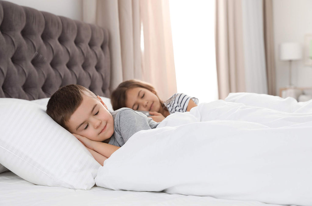 Down Alternative Comforter - Quilted Comforter - Queen Size Comforter - All Season Quilted Duvet Insert, White