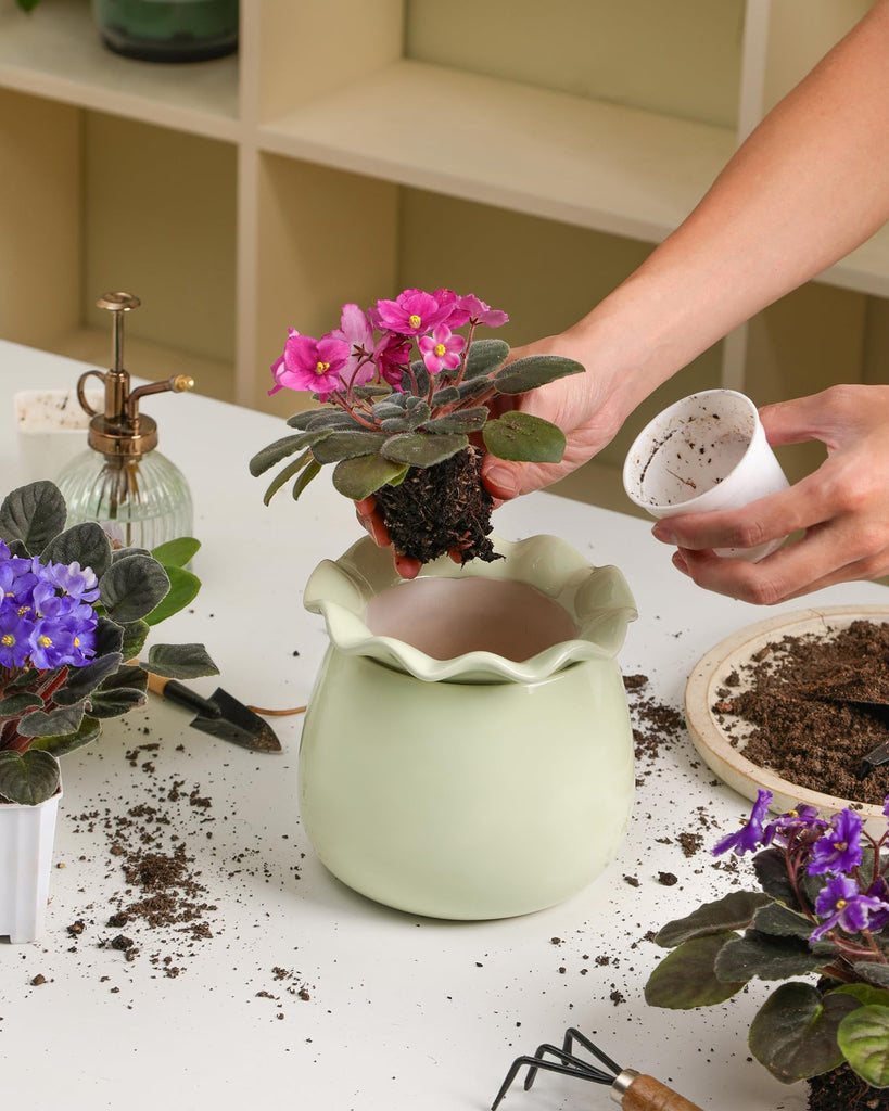 Self Watering Plant Pot, 6 Inch African Violet Pots Maintenance, Ceramic Self-Watering Planter for Indoor Plants