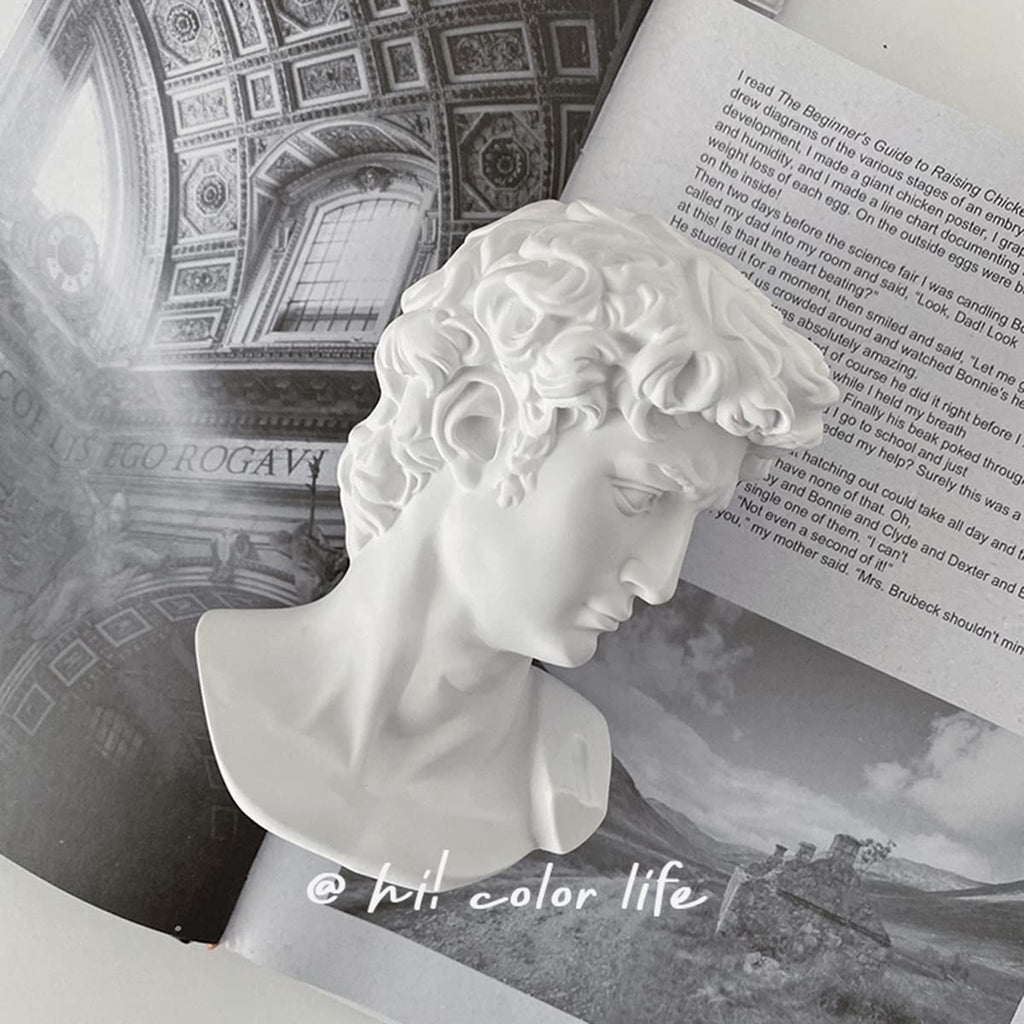 David Statue Greek Bust, Head Bust Statue Decor, Coffee Table Decor White, Greek Mythology Decor /Living Room/Office 5.9"