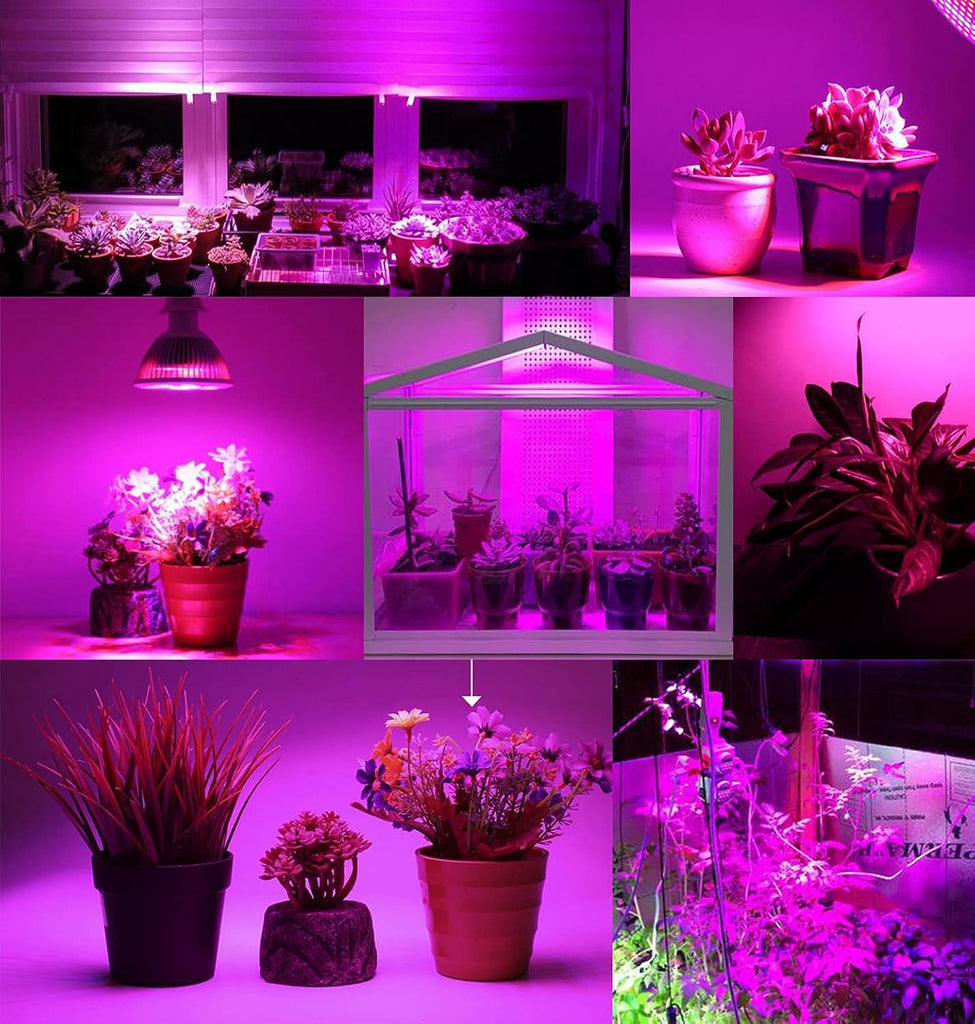 Full Spectrum 50W Led Grow Light Bulb for Indoor Plants, Vegetables and Seedlings, LED Plant Light Bulb