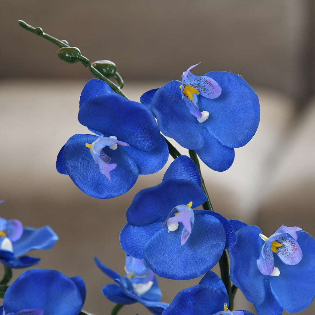 15" Silk Phalaenopsis Orchid in Square Pot, Navy Blue Flower Arrangements