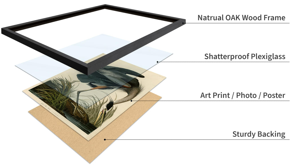 Master Vintage James Audubon Poster - Retro Great Blue Heron Print - Birds of America Art - Gift for Men, Women &