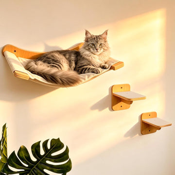 Wall-Mounted Cat Hammock with 2 Wooden Perching Steps-a Suspended Solid Wood wall-Mounted cat Shelf Set Suitable