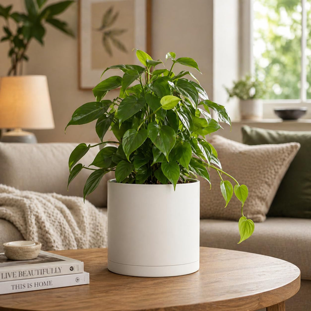 Cylinder Plant Pots 12/10/8 Inch Set of 3, Modern Round Planters with Drainage Holes and Saucers, Durable Plastic