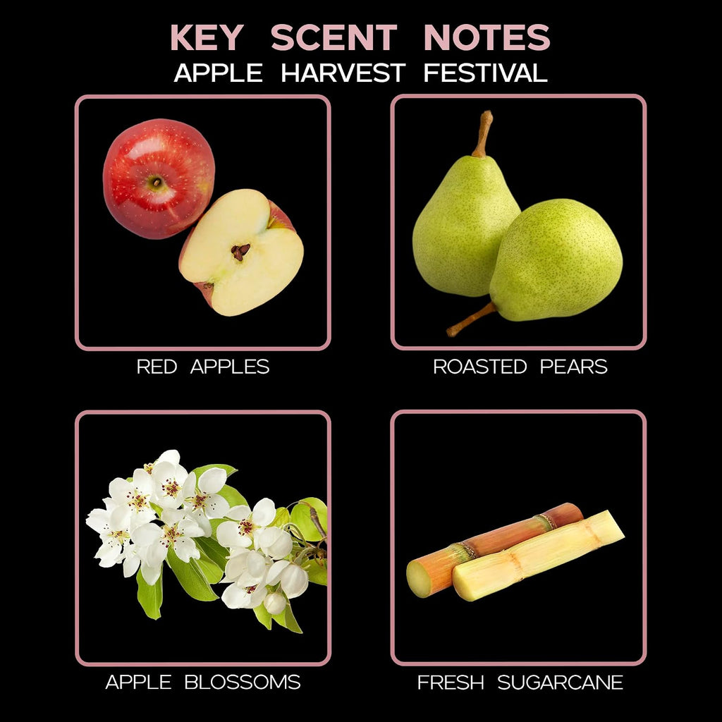 Reed Diffuser Set - Apple Harvest Scented Diffuser with Sticks - Set of 4