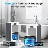 Dehumidifier for Home (85 OZ,1000 sq ft) Small Dehumidifiers for Basement, Auto Shut-Off, Sleep Mode, 7 Color Light