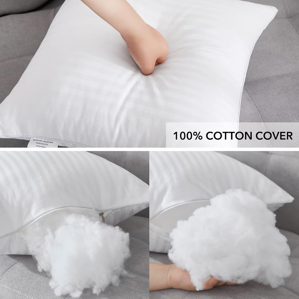 20 x 20 Throw Pillow Inserts - Set of 2