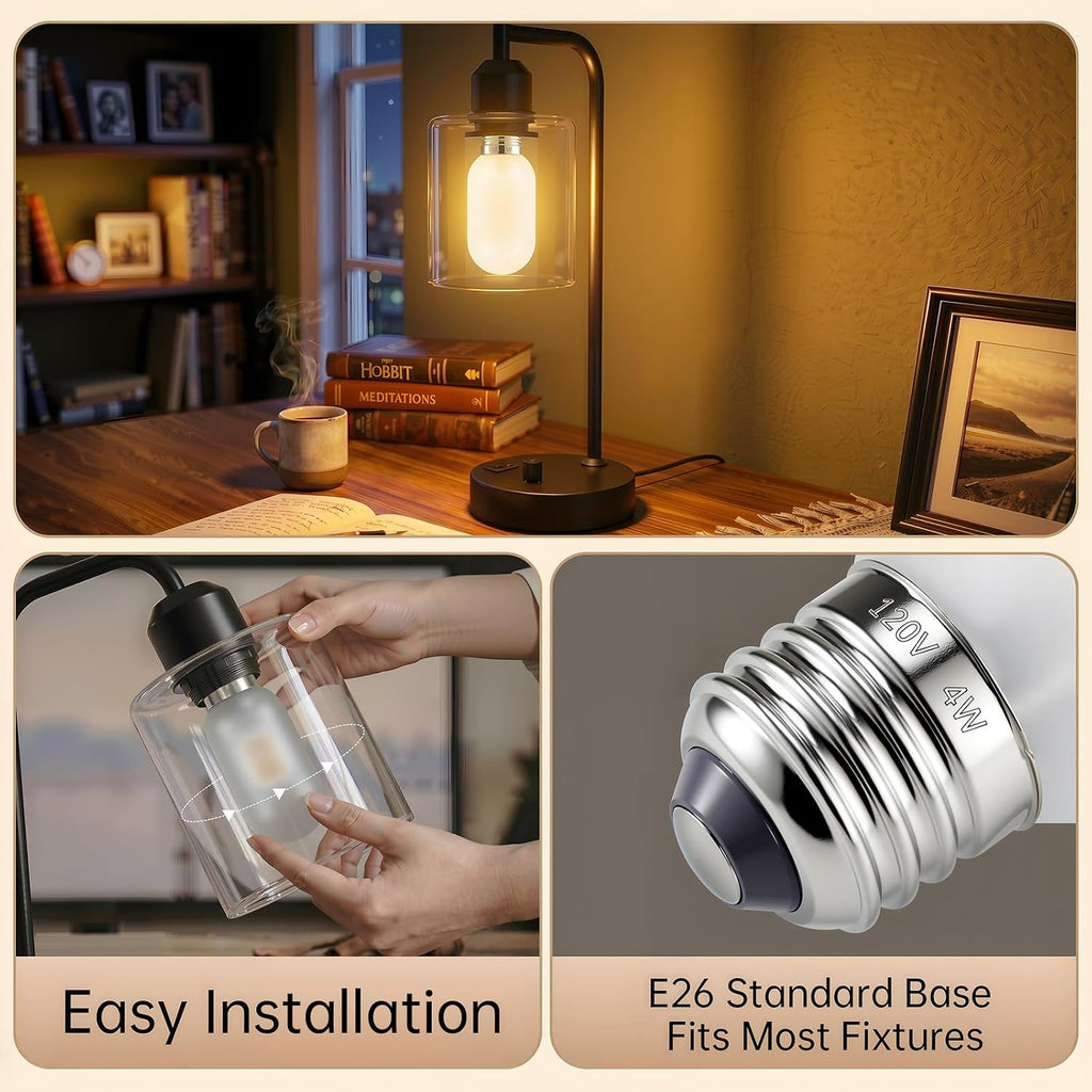 LED Edison Bulb 40 Watt Equivalent Dimmable Frosted Glass 3 Pack