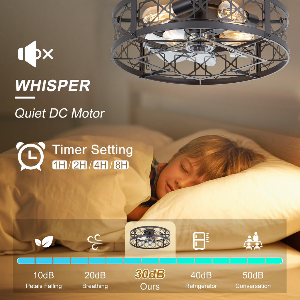Caged Ceiling Fan with Light, 20" Ceiling Fan with Lights and Remote Flush Mount, Bladeless Caged Ceiling Fans with