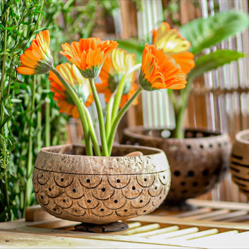 Hand-Carved Dragon Scales Coconut Shell Succulent Planter - Eco-Friendly, Sustainable Natural Pot for Indoor Plants