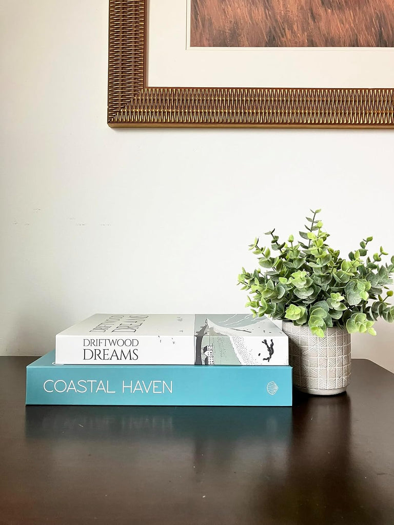 Decorative Faux Book Storage Box 2-Pack with Magnetic Close Decor, Room Decor Aesthetic, Shelf Decor - Coastal Style - Set of 2