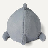Shark Shape Cat House for Indoor Cats, Enclosed Design Helps Reduce Anxiety in Nervous Pets
